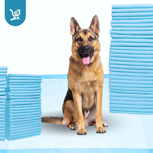 50Pcs Per Set Dog Training Pads Puppy Pee Pads Cat Wee Mats Potty-Train 24in X 18in M